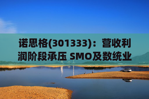 诺思格(301333)：营收利润阶段承压 SMO及数统业务保持稳健增长