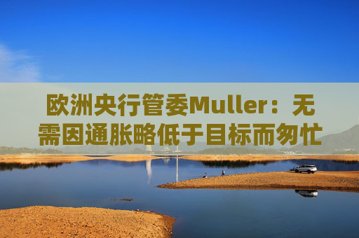 欧洲央行管委Muller：无需因通胀略低于目标而匆忙降息