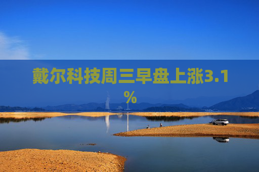 戴尔科技周三早盘上涨3.1%