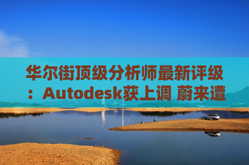 华尔街顶级分析师最新评级：Autodesk获上调 蔚来遭下调