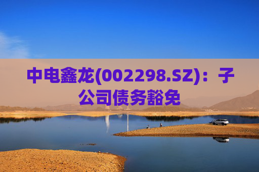 中电鑫龙(002298.SZ)：子公司债务豁免