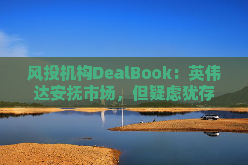 风投机构DealBook：英伟达安抚市场，但疑虑犹存