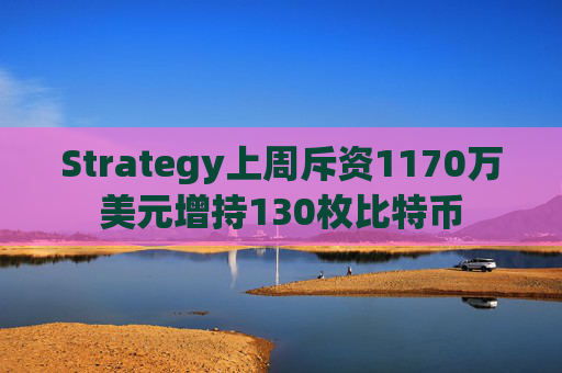 Strategy上周斥资1170万美元增持130枚比特币