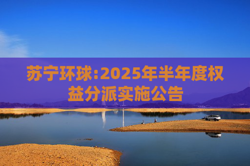 苏宁环球:2025年半年度权益分派实施公告