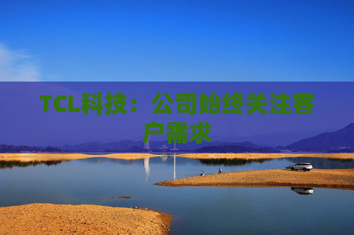 TCL科技：公司始终关注客户需求