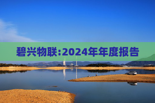 碧兴物联:2024年年度报告