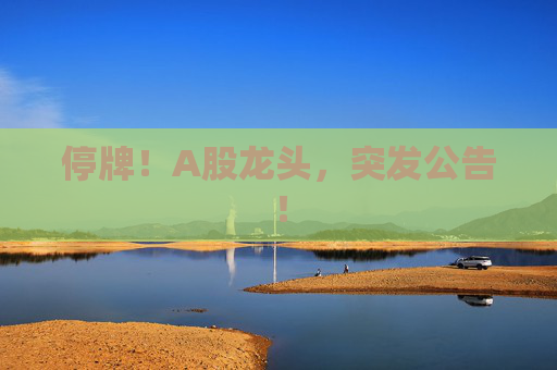 停牌！A股龙头，突发公告！
