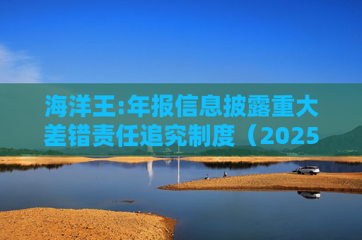 海洋王:年报信息披露重大差错责任追究制度（2025年12月）