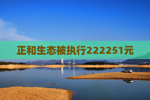 正和生态被执行222251元