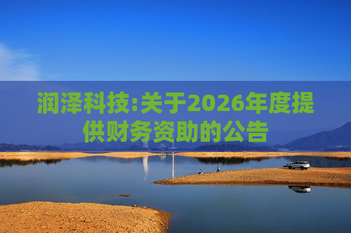 润泽科技:关于2026年度提供财务资助的公告