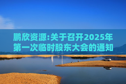 鹏欣资源:关于召开2025年第一次临时股东大会的通知