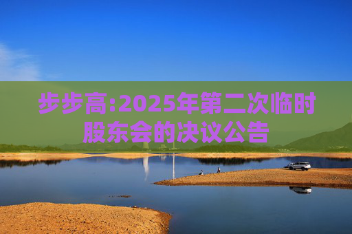 步步高:2025年第二次临时股东会的决议公告