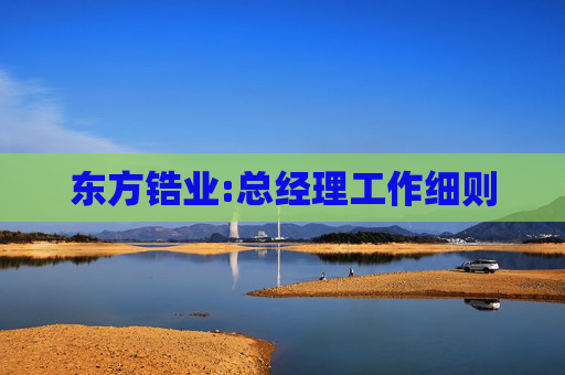 东方锆业:总经理工作细则
