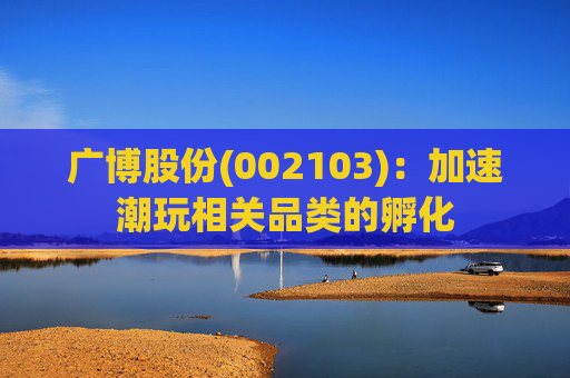 广博股份(002103)：加速潮玩相关品类的孵化