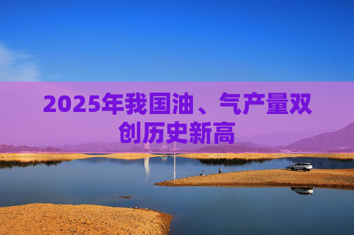2025年我国油、气产量双创历史新高