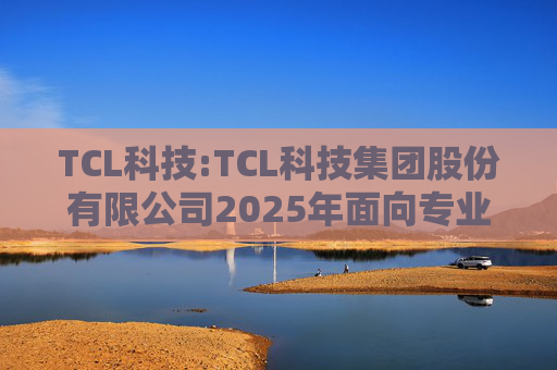 TCL科技:TCL科技集团股份有限公司2025年面向专业投资者公开发行科技创新公司债券（数字经济）（第一期）发行公告