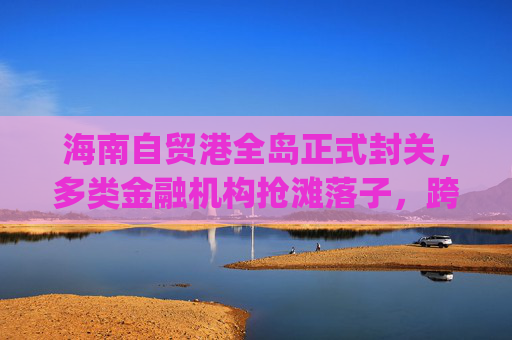 海南自贸港全岛正式封关，多类金融机构抢滩落子，跨境支付想象空间巨大|现场直击