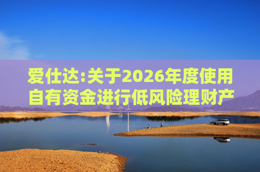 爱仕达:关于2026年度使用自有资金进行低风险理财产品投资的公告