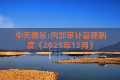 中天精装:内部审计管理制度（2025年12月）