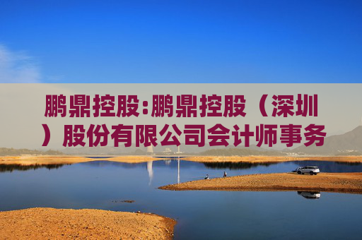 鹏鼎控股:鹏鼎控股（深圳）股份有限公司会计师事务所选聘制度