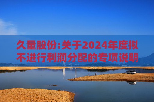 久量股份:关于2024年度拟不进行利润分配的专项说明
