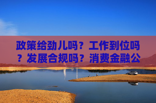 政策给劲儿吗？工作到位吗？发展合规吗？消费金融公司这么说  第1张