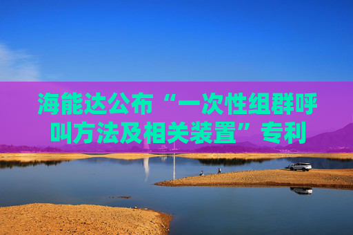 海能达公布“一次性组群呼叫方法及相关装置”专利