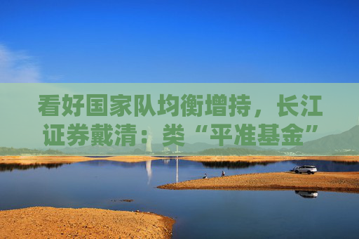 看好国家队均衡增持，长江证券戴清：类“平准基金”也将涵盖科创50、中证1000等ETF