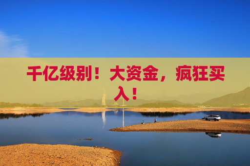 千亿级别！大资金，疯狂买入！