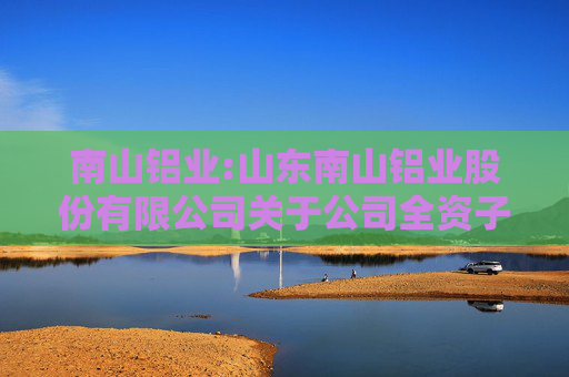南山铝业:山东南山铝业股份有限公司关于公司全资子公司烟台锦泰国际贸易有限公司开展金融衍生品交易业务的公告