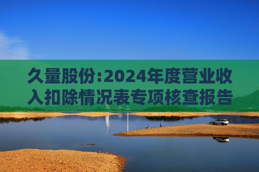久量股份:2024年度营业收入扣除情况表专项核查报告  第1张
