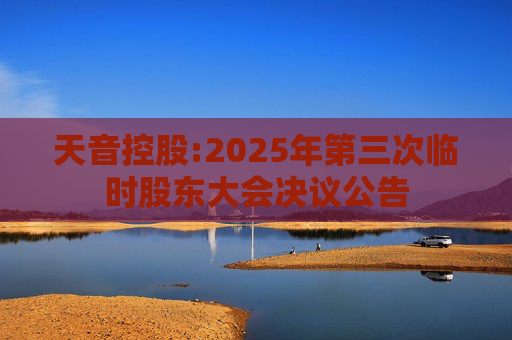 天音控股:2025年第三次临时股东大会决议公告