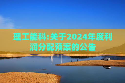 理工能科:关于2024年度利润分配预案的公告  第1张