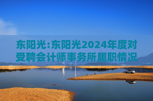 东阳光:东阳光2024年度对受聘会计师事务所履职情况的评估报告