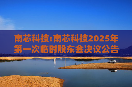 南芯科技:南芯科技2025年第一次临时股东会决议公告