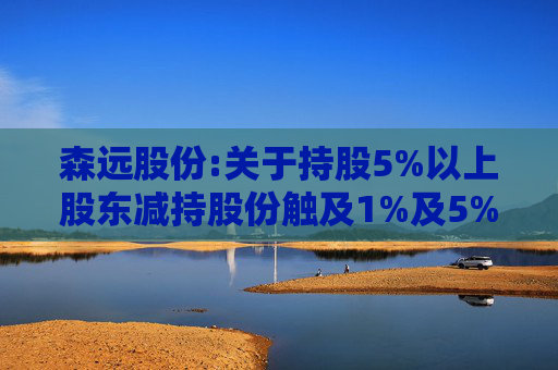 森远股份:关于持股5%以上股东减持股份触及1%及5%整数倍暨披露简式权益变动报告书的提示性公告