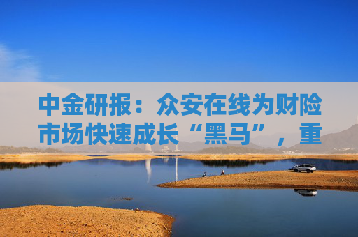 中金研报：众安在线为财险市场快速成长“黑马”，重申“买入”评级，目标价23港元  第1张