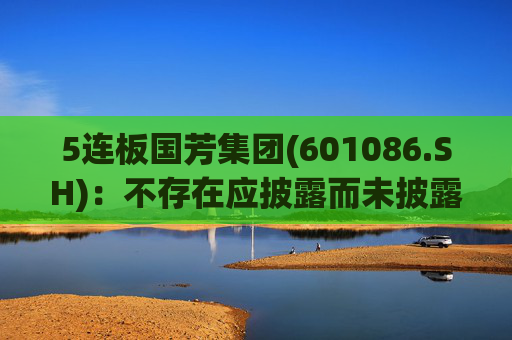 5连板国芳集团(601086.SH)：不存在应披露而未披露的重大信息