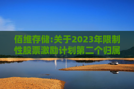 佰维存储:关于2023年限制性股票激励计划第二个归属期（第二批次）、2024年限制性股票激励计划首次授予第一个归属期（第二批次）归属结果暨股份上市的公告