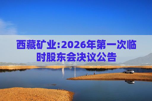 西藏矿业:2026年第一次临时股东会决议公告