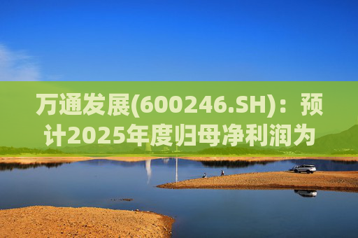 万通发展(600246.SH)：预计2025年度归母净利润为负值
