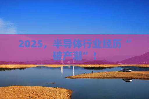 2025，半导体行业经历“破产潮”！