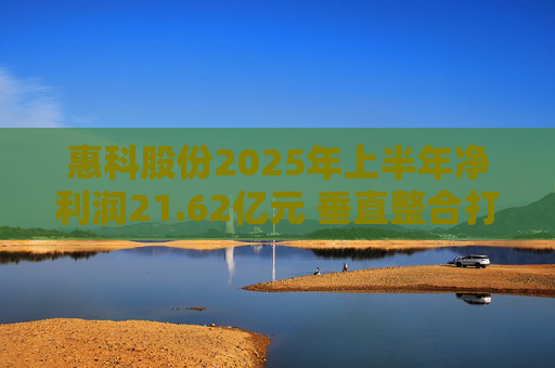 惠科股份2025年上半年净利润21.62亿元 垂直整合打造显示产业全链条优势