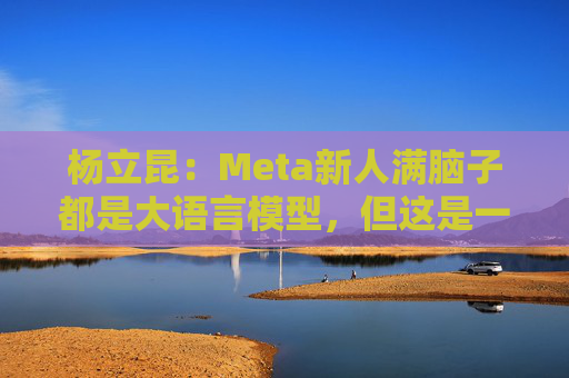 杨立昆：Meta新人满脑子都是大语言模型，但这是一条死胡同