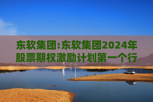 东软集团:东软集团2024年股票期权激励计划第一个行权期2025年第四季度自主行权结果暨股份变动的公告