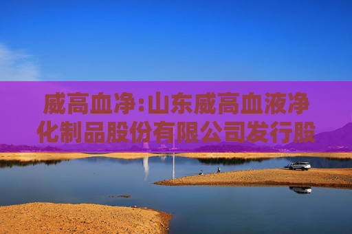威高血净:山东威高血液净化制品股份有限公司发行股份购买资产暨关联交易报告书（草案）摘要