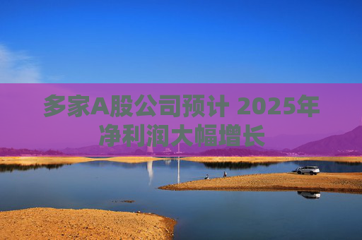 多家A股公司预计 2025年净利润大幅增长