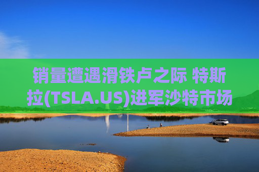 销量遭遇滑铁卢之际 特斯拉(TSLA.US)进军沙特市场