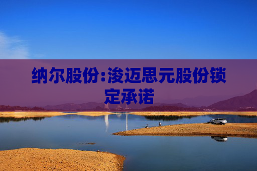 纳尔股份:浚迈思元股份锁定承诺