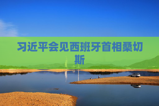 习近平会见西班牙首相桑切斯